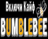 Радио BumbleBee
